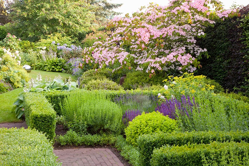 29500-Buxus-boxwood-Fagus-beech-hedge-country-garden-walkway-deciduous-flower-bed-natural-green-lawn