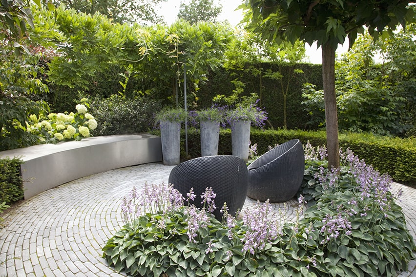 32440-Taxus-yew-hedge-modern-garden