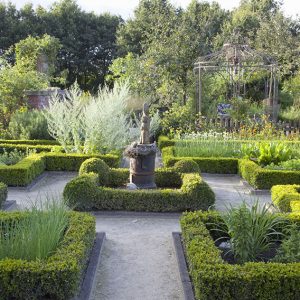 34764-Buxus-boxwood-hedge-estate-formal-knot-garden