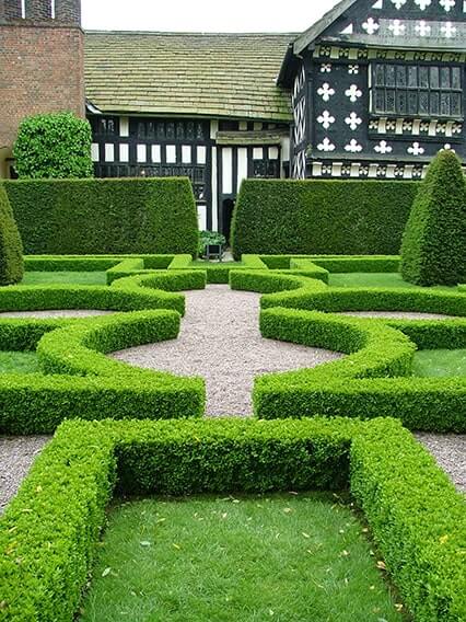 363759-buxus-boxwood-thuja-arborvitae-hedge-privacy-tall-low-border-knot-garden-formal-country-estate-restort-lodge-cottage-spa