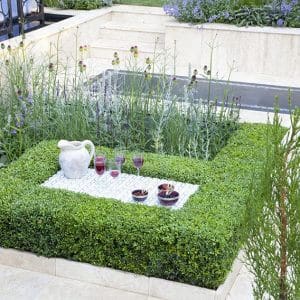 37058-Buxus-boxwood-hedge-modern-estate-garden-outdoor-living-natural-flower-bed