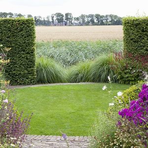 37283-Fagus-Beech-hedge-country-estate-rural-view-grass-field-farm-house-garden