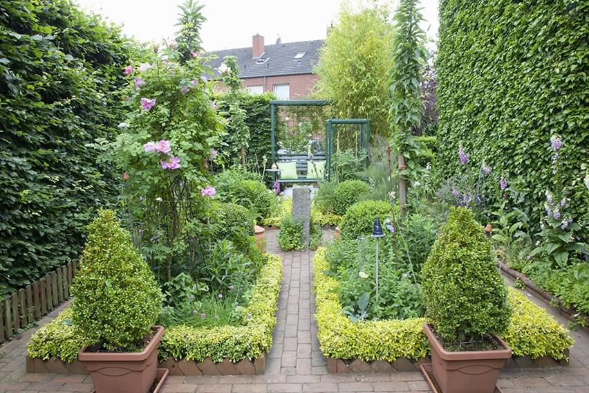 43915-Fagus-hedge-beech-urban-garden-privacy-green-space-wall-courtyard