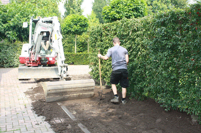 Planting Cornus mas Cornelian cherry planting InstantHedge filling