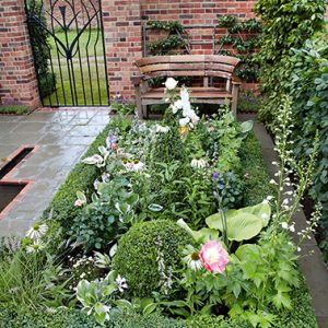 N1004052_140-Buxus-courtyard-country-garden