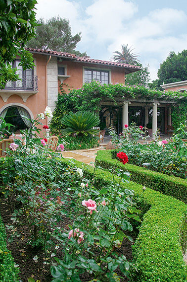 N1004182_140-Buxus-courtyard-formal-modern-garden-villa