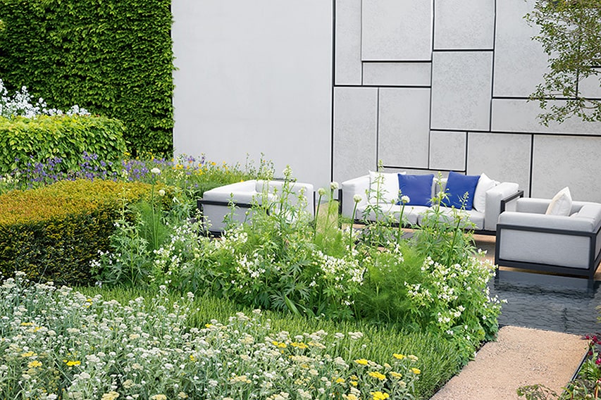 N1005444_140-Carpinus-hornbeam-hedge-formal-modern-courtyard-garden