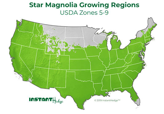 Screening plants region