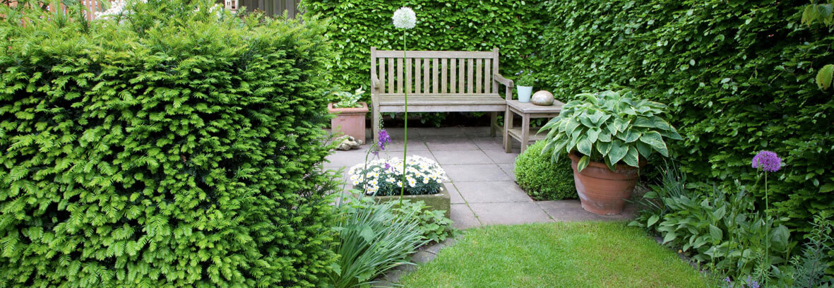 Country Garden Ideas