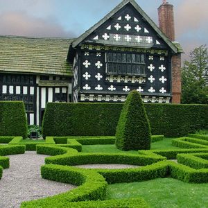 187485-buxus-boxwood-knot-garden-estate-resort-park