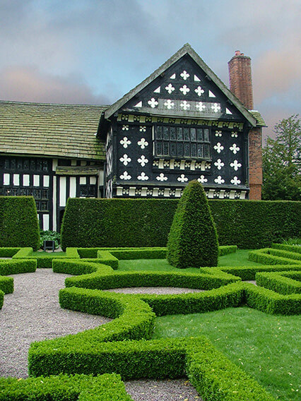 187485-buxus-boxwood-knot-garden-estate-resort-park