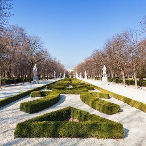 shutterstock_265999853-buxus-boxwood-knot-garden-government-park-estate-winter