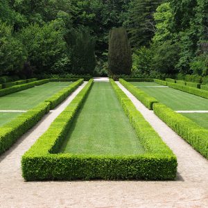 shutterstock_4748848-buxus-boxwood-border-knot-garden-park-estate