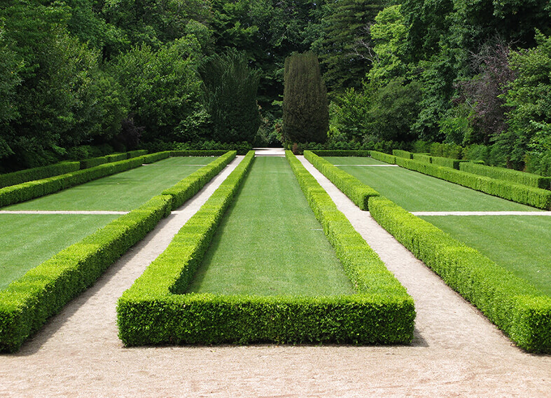 shutterstock_4748848-buxus-boxwood-border-knot-garden-park-estate