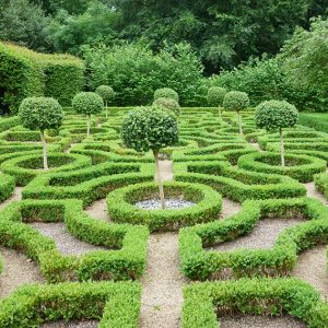 shutterstock_499693663-buxus-boxwood-knot-garden-display-park-estate