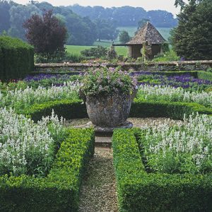 shutterstock_620901437-Buxus-boxwood-taxus-yew-estate-country