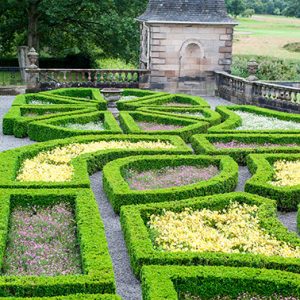 shutterstock_642584443-Buxus-formal-knot-estate-country