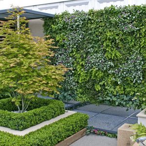 shutterstock_674739961-Buxus-courtyard-modern-suburban-urban-patio