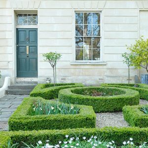 shutterstock_797387416-buxus-boxwood-knot-garden-low-border-cottage-estate-spring-daffodil-flower