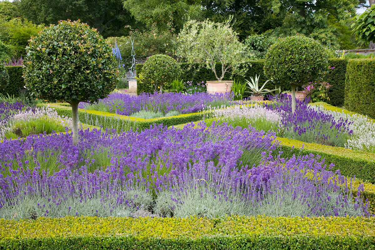 Formal Garden