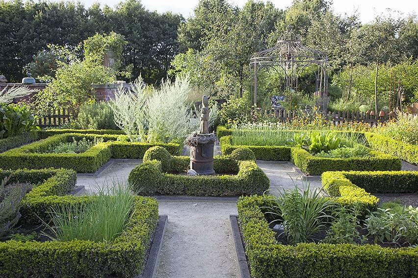34764-Buxus-boxwood-hedge-estate-formal-knot-garden