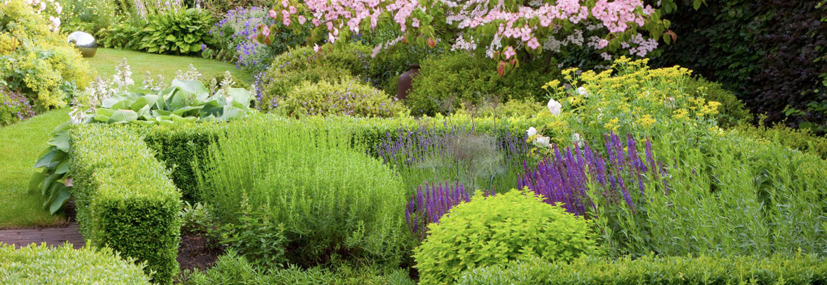 Knot Garden Design 