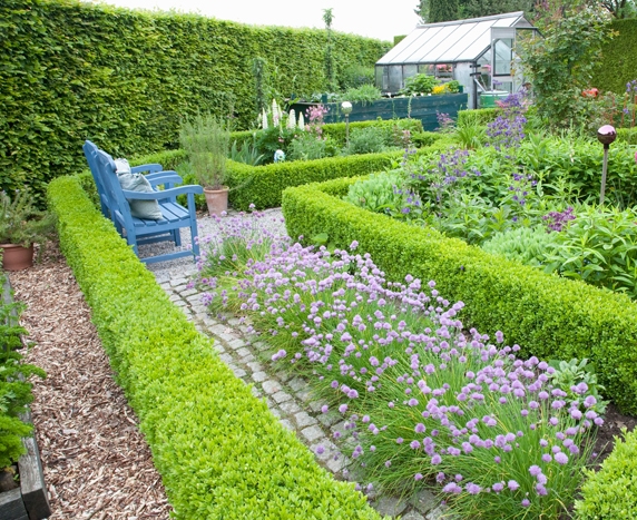 Small knot gardens design ideas