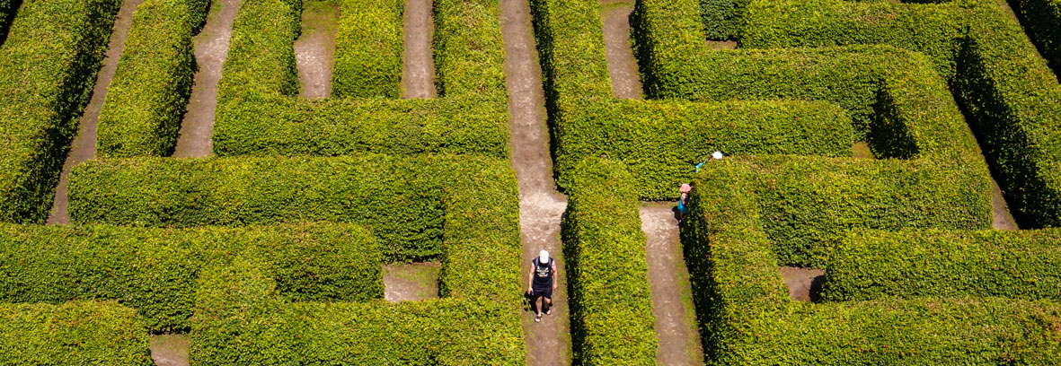 maze garden