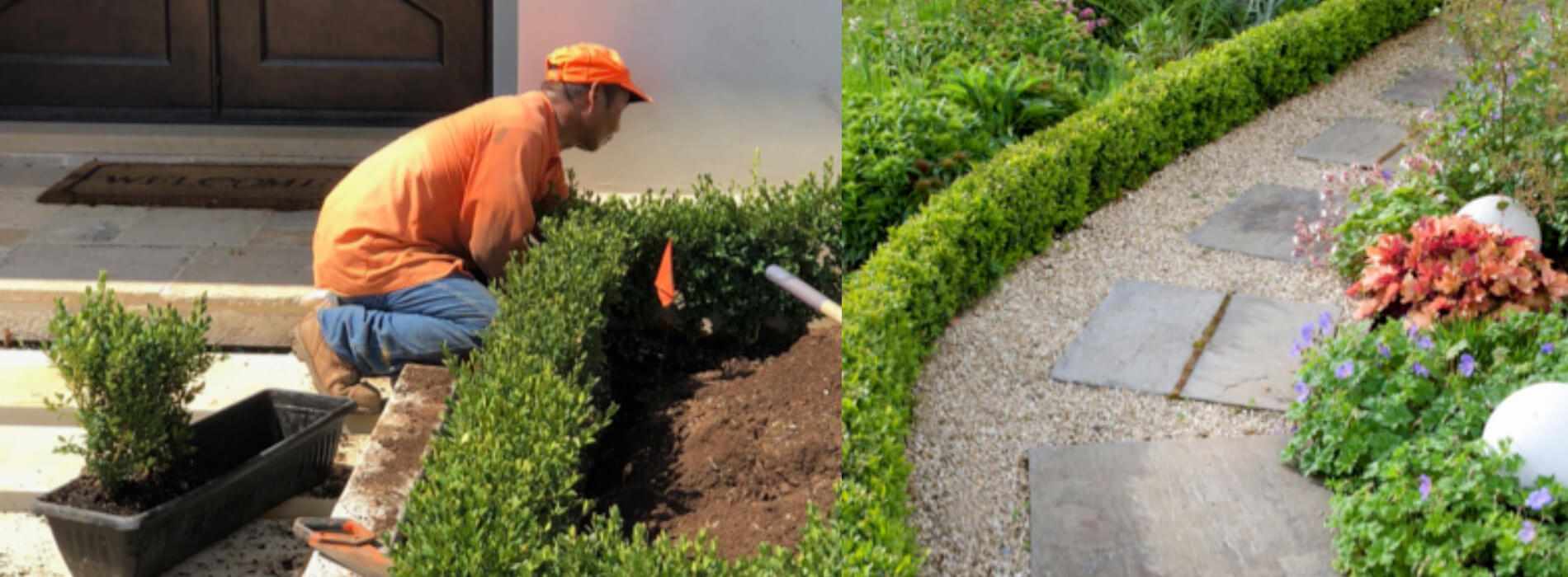 InstantHedge units can be cut to fit any space or scored and curved to fit any design. Boxwood InstantHedge