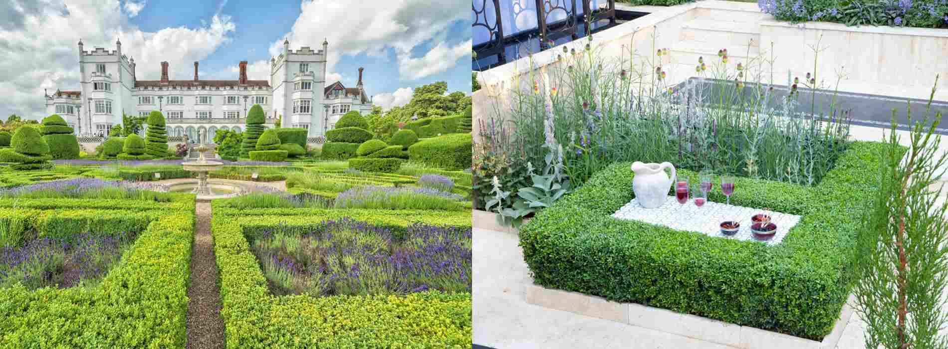 any-style (Buxus) Boxwood hedges are equally at home in a grand estate garden and in a clean, modern setting.