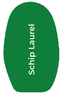 schip-raurel types of laurel plant