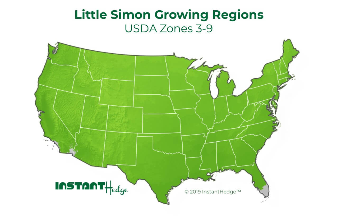 Little Simon zone map