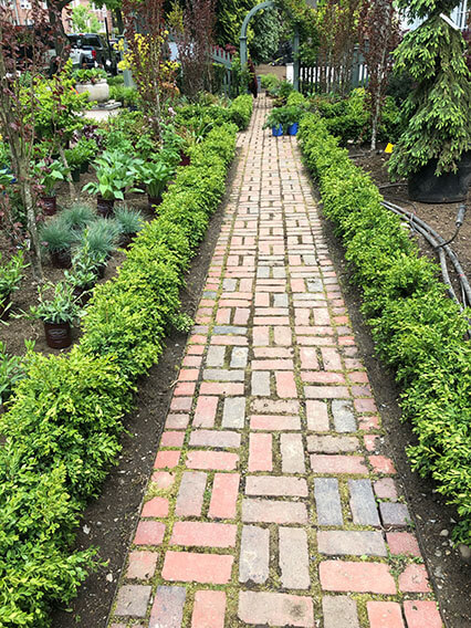 Lopez Landscaping Brookline MA Project during installation