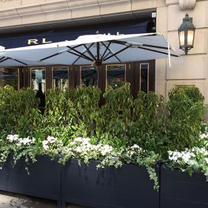 Portuguese laurel containers Chicago Ralph Lauren May 2019 (5)