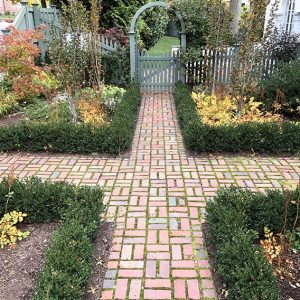 Buxus boxwood hedge InstantHedge install cottage garden