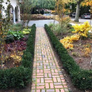 Buxus boxwood hedge InstantHedge install cottage garden