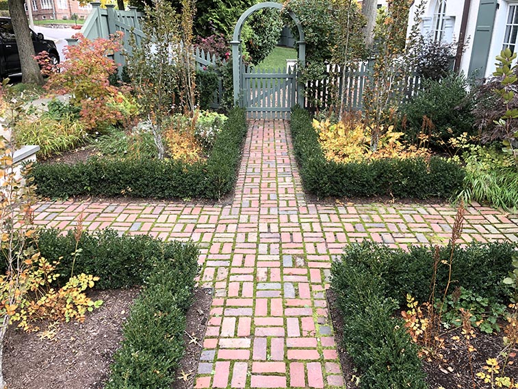 Buxus boxwood hedge InstantHedge install cottage garden