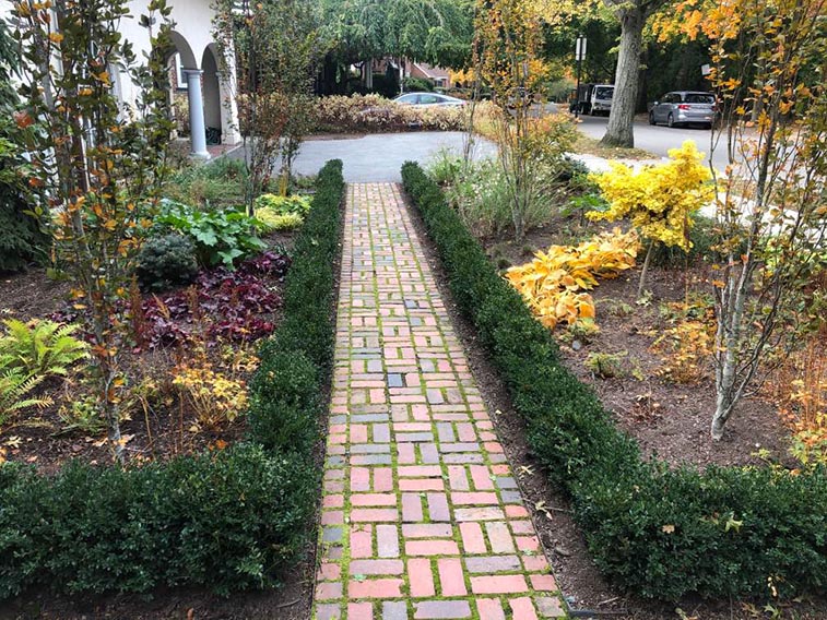 Buxus boxwood hedge InstantHedge install cottage garden