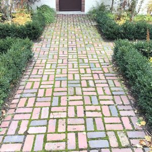 Buxus boxwood hedge InstantHedge install cottage garden