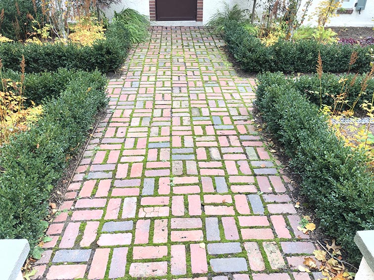 Buxus boxwood hedge InstantHedge install cottage garden