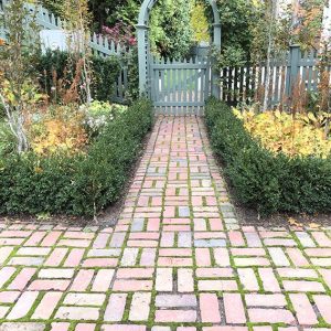 Buxus boxwood hedge InstantHedge install cottage garden