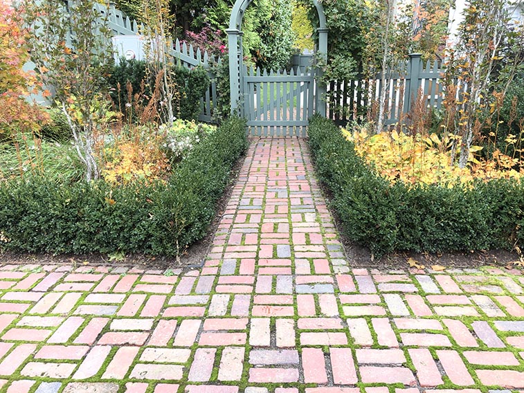 Buxus boxwood hedge InstantHedge install cottage garden
