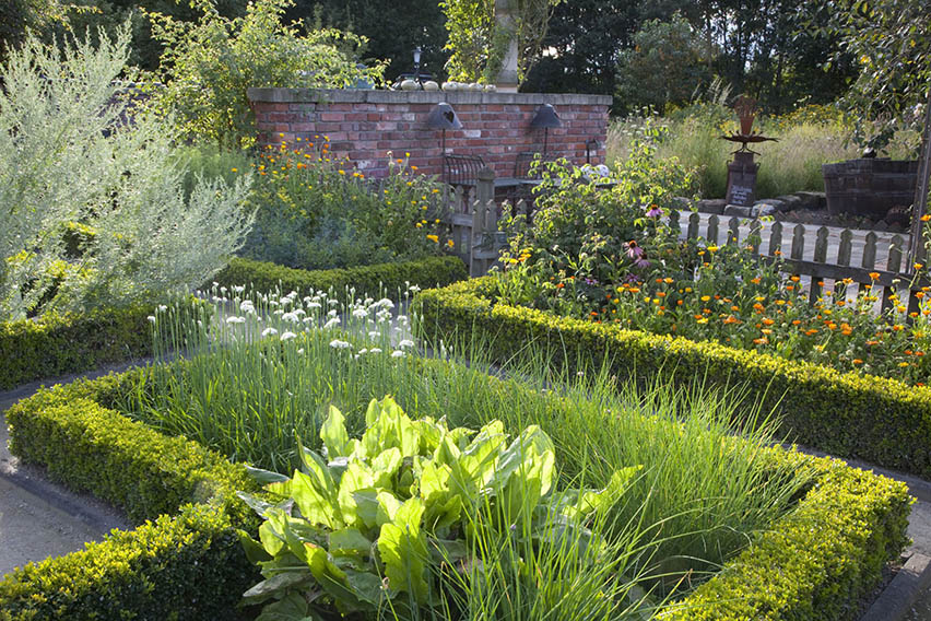 Buxus boxwood hedge estate country garden