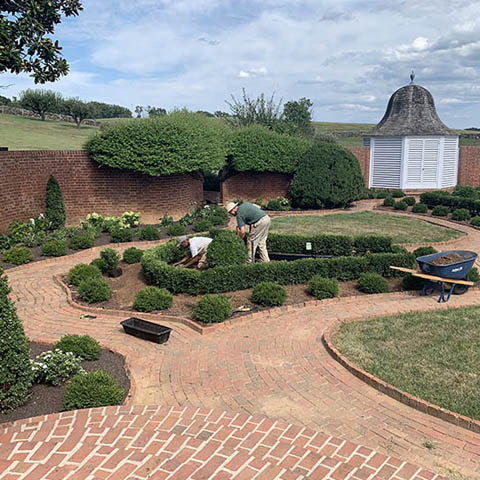 August 2019 Virginia